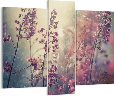 Produktbild von Bild auf Leinwand - Leinwandbild - 3 Teile - Blumen Regen Licht - 95x80cm - Wand Bild - Wanddeko - Wandbilder - Leinwanddruck - Bilder - Wanddekoration - Leinwand bilder - Wandbild - CB95x80-4218