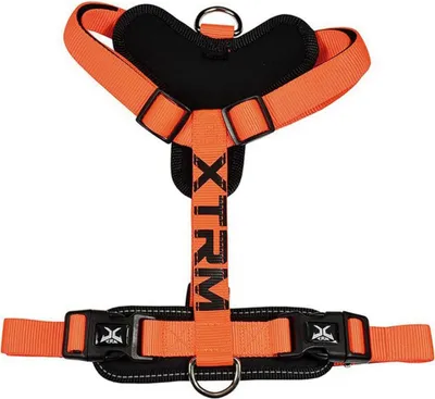 Produktbild von Haustiergurt Nayeco x-trm 35-60 x 1,5 cm Orange