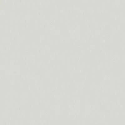 Image de Profhome 379795-GU Papier peint ton-sur ton mat gris 5,33 m2