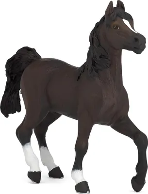 Immagine prodotto di Papo Cavalli Cavallo arabo 51505