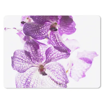 Produktbild von MuchoWow® Mauspad Mousepad Lila Orchideen 23x19 cm - Mousepads - Maus Mat - Pad - Mausunterlage - Schreibtischunterlage - Mauspad