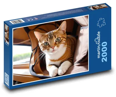 Zdjęcie produktu dla martinpuzzle - Puzzle 2000 - Kot z Morawy