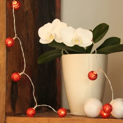 A string of red LED decorative lights is draped around a potted white orchid.