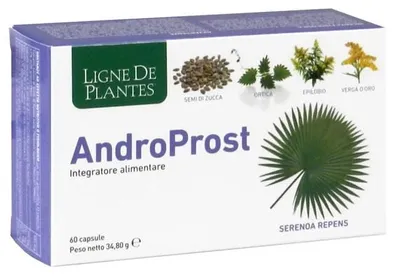 Produktbild von ANDROPROST, 60 Kapseln