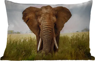 Produktbild von MuchoWow® Outdoor Kissen - Elefant - Gras - Tiere - Natur - 50x30 cm - Wetterfest - Lounge Kissen - Sofa kissen - Wohnzimmer Dekoration