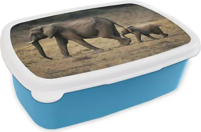 Obrázok produktu pre KitchenYeah® Lunchbox Box na desiatu 17x11 cm Slon - teľa - Keňa Detský box na desiatu - obed - plastový - plechovka na chlieb - sendvičový box - box na desiatu pre deti