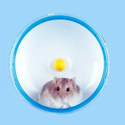 Immagine prodotto di Ruota silenziosa per piccoli animali, 14 cm, colore a sorpresa