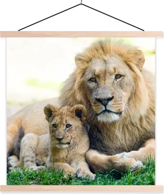 Produktbild von MuchoWow® Textilposter Löwe - Jungtier - Porträt 40x40 cm mit holzfarbenen Rahmen - Posterleiste