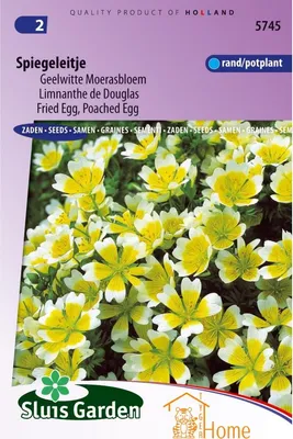 Image de Graines de limnanthe - Fleur des prés jaune et blanche Limnanthes douglasii - Graines de plantes de jardin s aux abeilles pour pots et parterres de fleurs