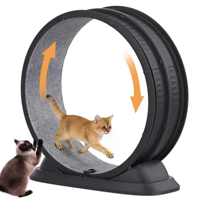 Image de Roue d'exercice pour chats - Roue d'exercice d'intérieur pour chats - Roulements silencieux - Tapis à gratter amovible - Plastique PP robuste (6,8 kg) - 85 x 80 x 33 cm - Noir