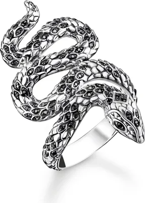 Produktbild von Thomas Sabo - TR2418-643-11-54 - Ring - Uni - 925er Silber geschwärzt - Weite 54