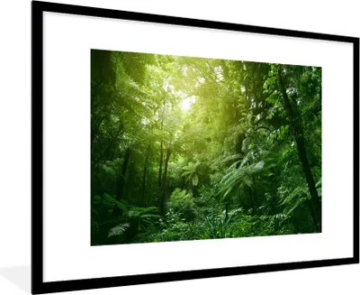 Produktbild von MuchoWow® MuchoWow® Gerahmtes Poster Dschungel - Pflanzen - Blätter - Jungen - Mädchen - Kinder 90x60 cm - Poster mit zchwarzem Bilderrahmen - Wanddekoration - Fotos