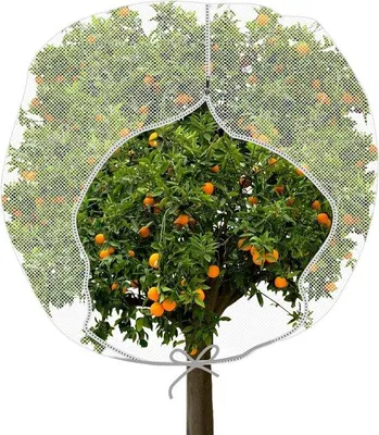 Produktbild von Famanu Insektenschutznetz für den Garten, mit Reißverschluss, 183 x 183 cm
