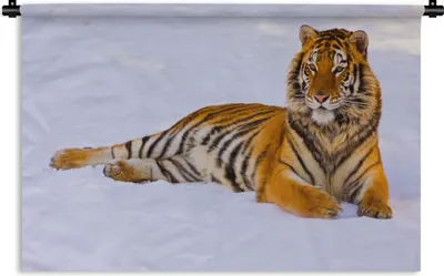 Produktbild von MuchoWow® Wandteppich Wandbehang Tiger - Schnee - Winter - Tiere 120x80 cm Tapisserie Dekoration Wandtuch - Wanddekorationen - Wandtücher
