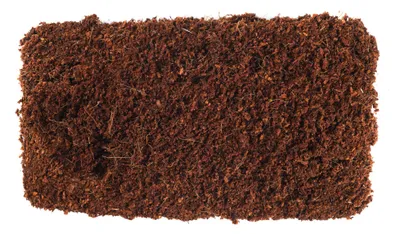Artikelbild 1 von 'HARRY HERBS Kokoserde (400g)' aus der Kategorie Kokoserden