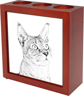 Produktbild von Stifthalter Chausie aus Holz, braun, 13 cm hoch, 13 cm breit, 4,5 cm tief