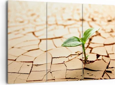 Produktbild von Bild auf Leinwand - Leinwandbild - Wüste Erde Umwelt - 165x110cm - Wand Bild - Wanddeko - Leinwanddruck - Bilder - Kunstdruck - Wanddekoration - Leinwand bilder - Wandkunst - CE165x110-2173
