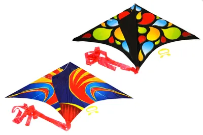 Obrázek produktu pro Létající drak 61 x 114 cm