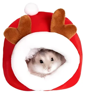 Produktbild von 1 Stück Meerschweinchenbett, Großmodell mit em flauschigem Wärmeauflage, waschbarem Versteck & Käfigzubehör für Zwergkaninchen, Chinchilla, Igel u.a.