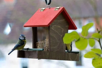 Productafbeelding van Famanu Vogelhuis, hangend - Houten voederhuis met voederreservoir - 16 x 21 x 20 cm