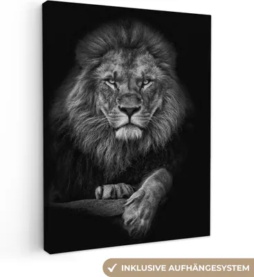 Produktbild von MuchoWow® - Leinwandbilder - Löwe - Tiere - Schwarz - Weiß, Wandbild, Wanddeko Bilder Wohnzimmer, 90x120cm