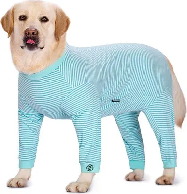 Image de Peignoir en polaire pour chien - taille XL - pour un usage quotidien