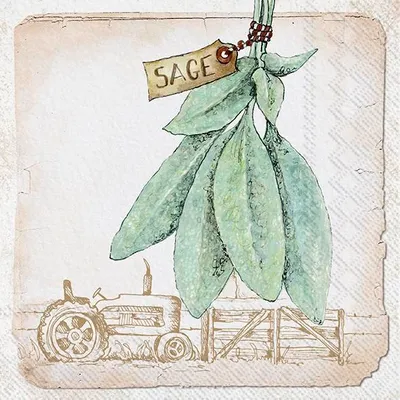 Produktbild von SAGE cream Lunch-Servietten L 946060