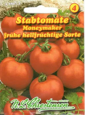 Produktbild von Stabtomate Moneymaker | Stabtomatensamen von N.L. Chrestensen