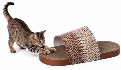 Image de Chaussons en carton plat "Slippi" de la marque Flamingo, couleur marron, dimensions : 51 x 21 x 16,5 cm