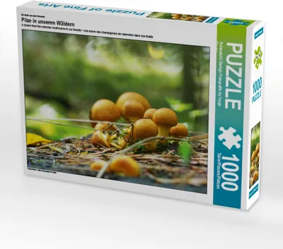 Produktbild von CALVENDO Puzzle Ein Motiv aus dem Kalender Pilze in unseren Wäldern | 1000 Teile Lege-Größe 64x48cm Foto-Puzzle für glückliche Stunden
