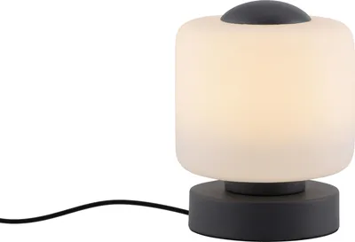 Zdjęcie produktu dla PAUL NEUHAUS BOTA lampa stołowa LED antracyt, ściemniacz dotykowy, 3000K