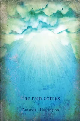 Produktbild von the rain comes