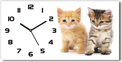 Produktbild von Wanduhr aus Glas – 60x30 cm - Glasbild - Glasuhr - Gehärtetes Glas - schwarze-zeiger - Brown und rote Katze
