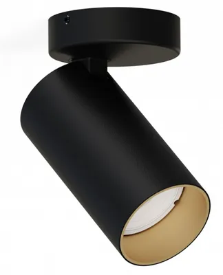Obrázek produktu pro Nowodvorski Lighting Stropní bodové svítidlo 7763 MONO I černá/zlatá