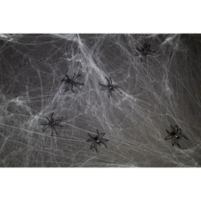 Zdjęcie produktu dla Biała pajęczyna z 6 pająkami - HALLOWEEN - 500 g