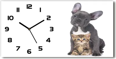 Produktbild von Wanduhr aus Glas – 60x30 cm - Glasbild - Glasuhr - Gehärtetes Glas - schwarze-zeiger - Hund und Katze