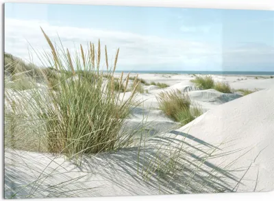 Produktbild von DEQORI Küchenrückwand Glas 60x40 cm 'Dünen an Nordseeküste' Spritzschutz Bad Rückwand