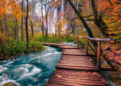 Produktbild von ENJOY Puzzle Waldbach in Plitvice, Kroatien 1000 Teile