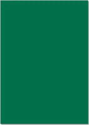 Produktbild von folia Tonkarton (B)500 x (H)700 mm 220 g/qm tannengrün 25 Blatt