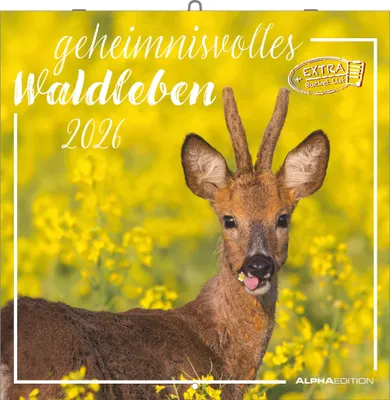 Produktbild von Alpha Edition - Geheimnisvolles Waldleben Kalender 2026 - Wandkalender 30x30 cm - Für Naturliebhaber - 12 beeindruckende Waldtier-Fotografien, viel Platz für Notizen, mit Feiertagen & Ferienterminen