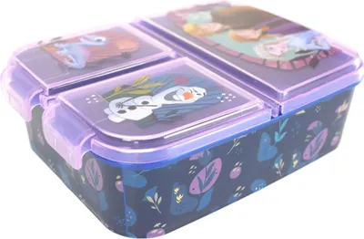 Productafbeelding van Euromic 088808735-74220, Lunchbox, Geschikt voor volwassenen/kinderen, Meerdere kleuren, Met afbeelding, Rechthoekig, Jongen/meisje