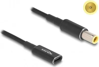 Image de DELOCK Câble adaptateur pour ordinateur portable Câble de charge USB Type-C femelle IBM