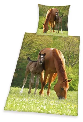 Immagine prodotto di Biancheria da letto Herding Cavallo con puledro 135 x 200 cm