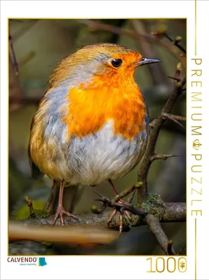 Produktbild von CALVENDO Puzzle Rotkehlchen | 1000 Teile Lege-Größe 64x48cm Foto-Puzzle für glückliche Stunden