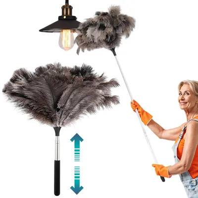 Image de Staubwedel – Tige télescopique extensible et lavable – Nettoyage pour la maison et la voiture