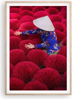 Produktbild von Gerahmtes Poster - Rahmen in heller Eiche - Trocknen Weihrauch Vietnam - 70x100 cm - Wand Bild - Wanddeko - Wandbilder - Kunstposter - Wandposter - Bilderrahmen - Bilder - P2NPA70x100-4655