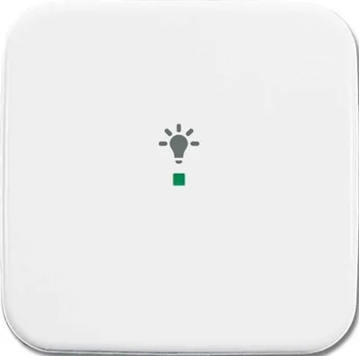 Image de BUSCH-JAEGER Tastwippe 1f free@home aws glz Kst