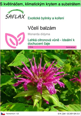 Obrázek produktu pro SAFLAX Garden to go - včelí balzám - Monarda didyma - 20 Semena - S květináčem, klimatickou poklicí a pěstebním substrátem