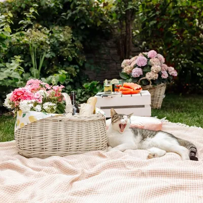 Produktbild von Creative Home Weiße Große Picknickkorb Weidenkorb mit Henkel Einkaufskorb 45 x 32 x 34 cm