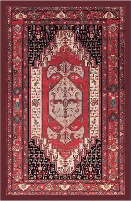Produktbild von Teppich EMOZIONI ORIENTE SANANDAJ 200X314 cm | GalleriaFarah1970